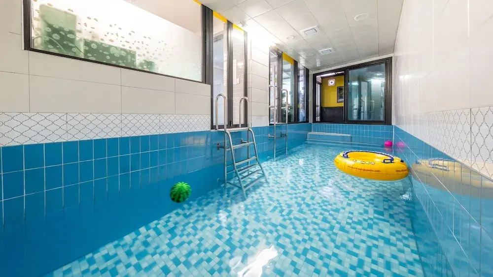 Gapyeong Star Forest Private Pool Villa