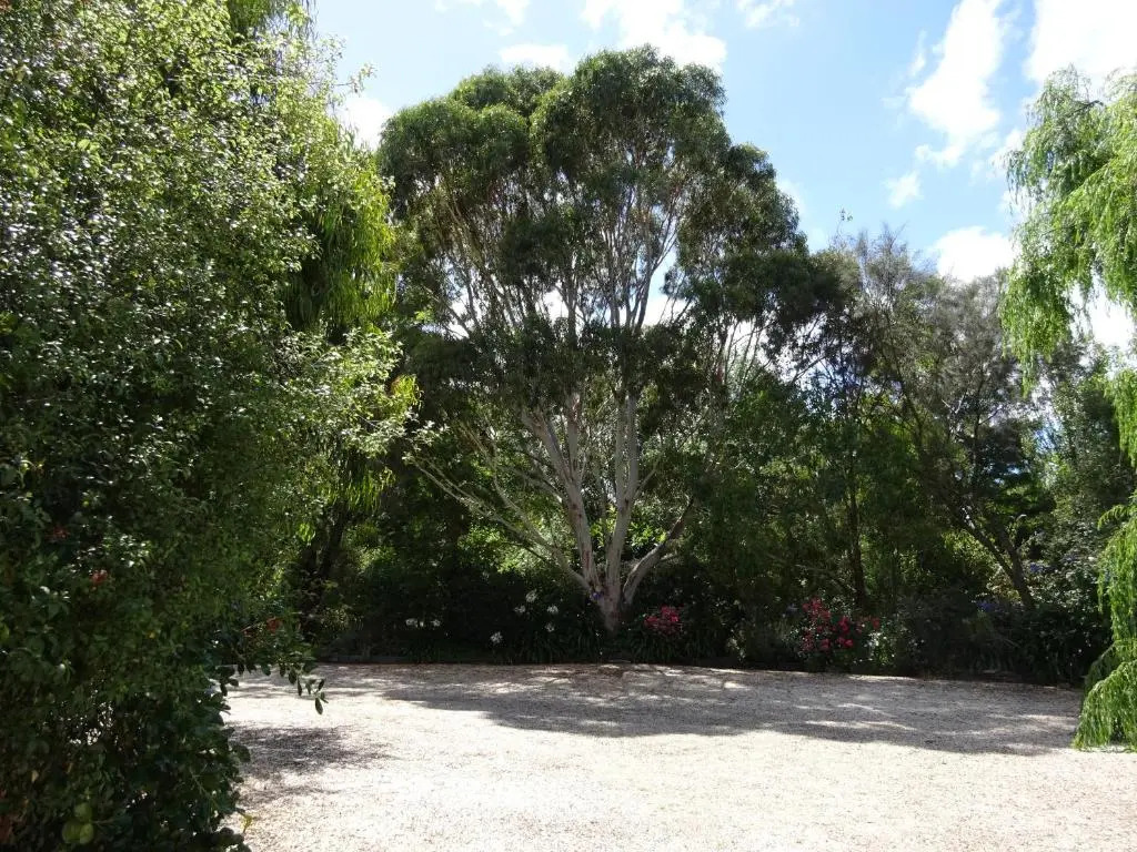 Cobden Crest Cottages