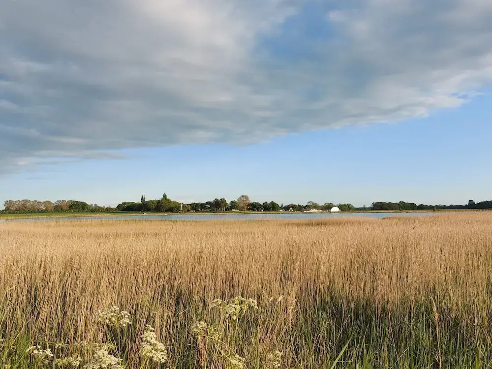 4 person holiday home in Præstø