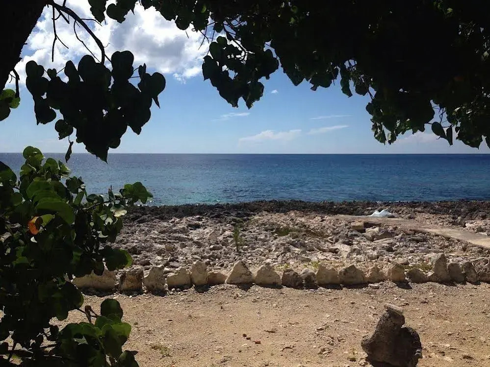 Jackies on the Reef