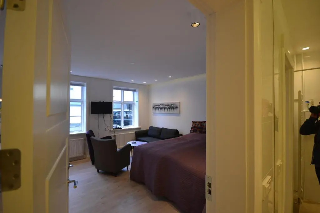 Next Apartment Bergstadastræti