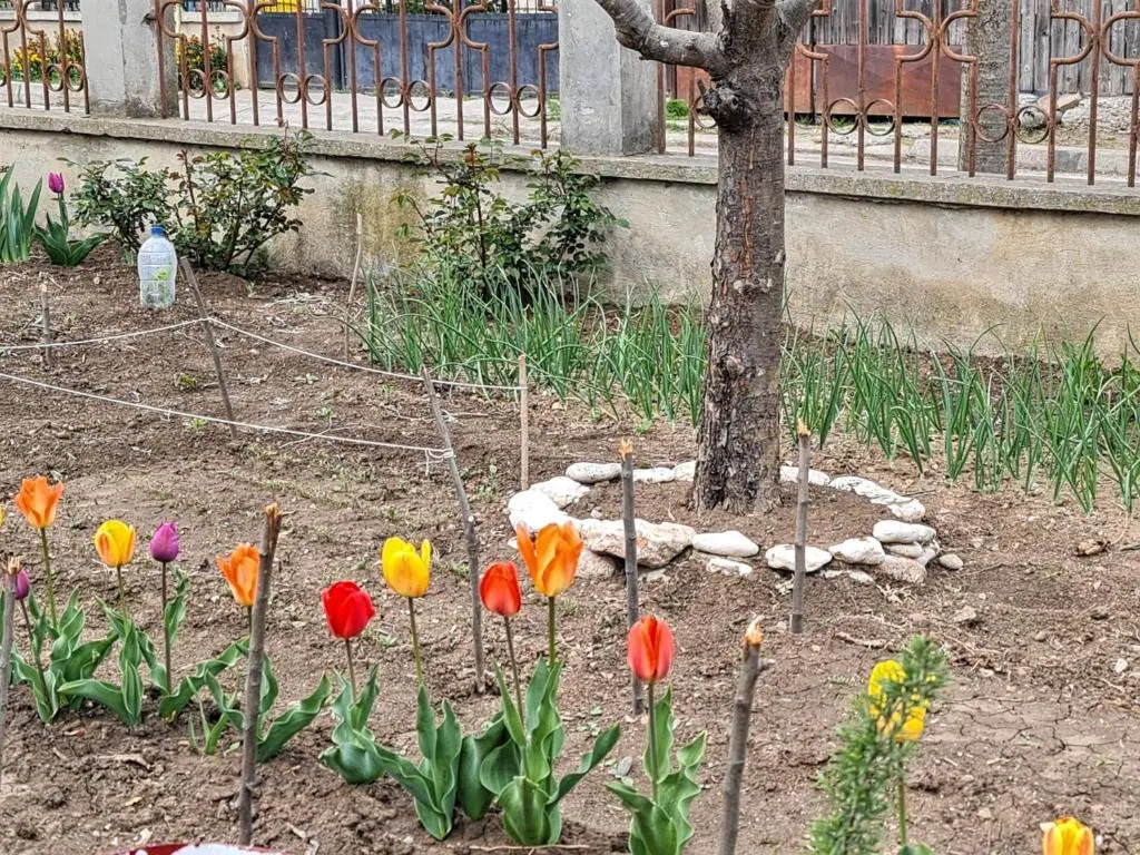 Casa 9 Mangalia