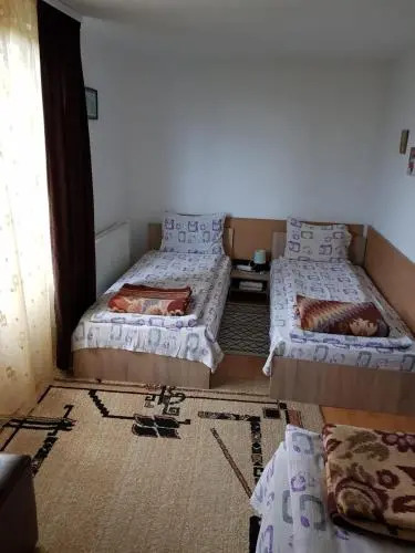 Pensiunea La Bunica 2