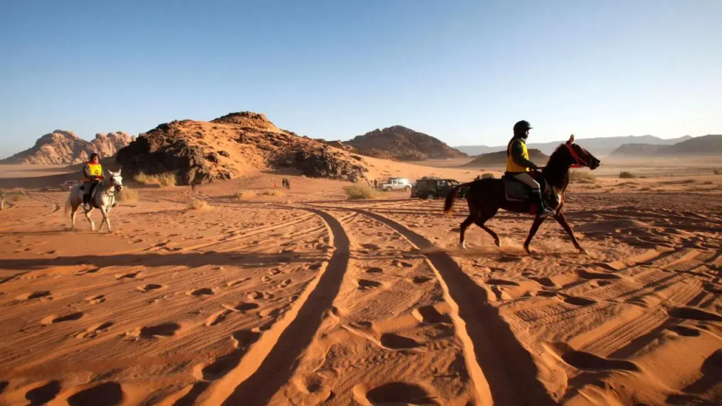 Wadi Rum Hostel and Climbing Stay