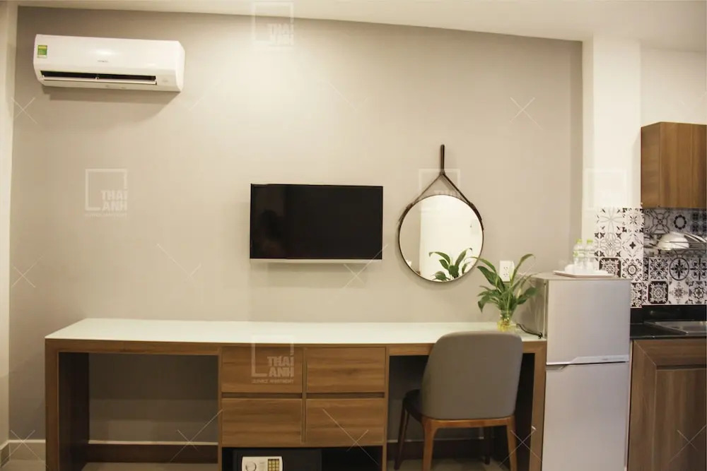 Thai Anh Tan Dinh