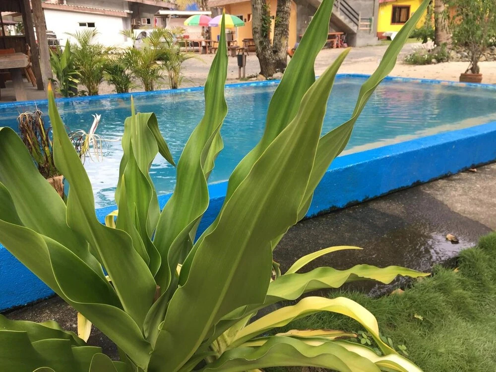 Seasta Beach Resort