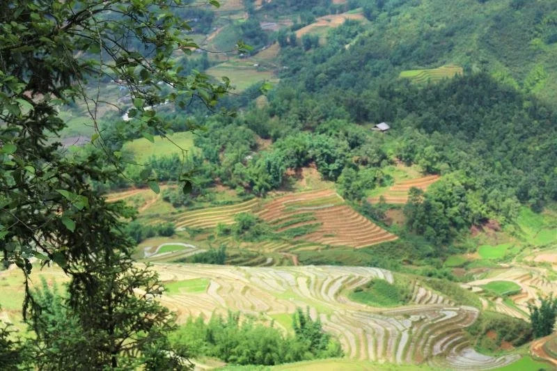 Sapa Cheap Room