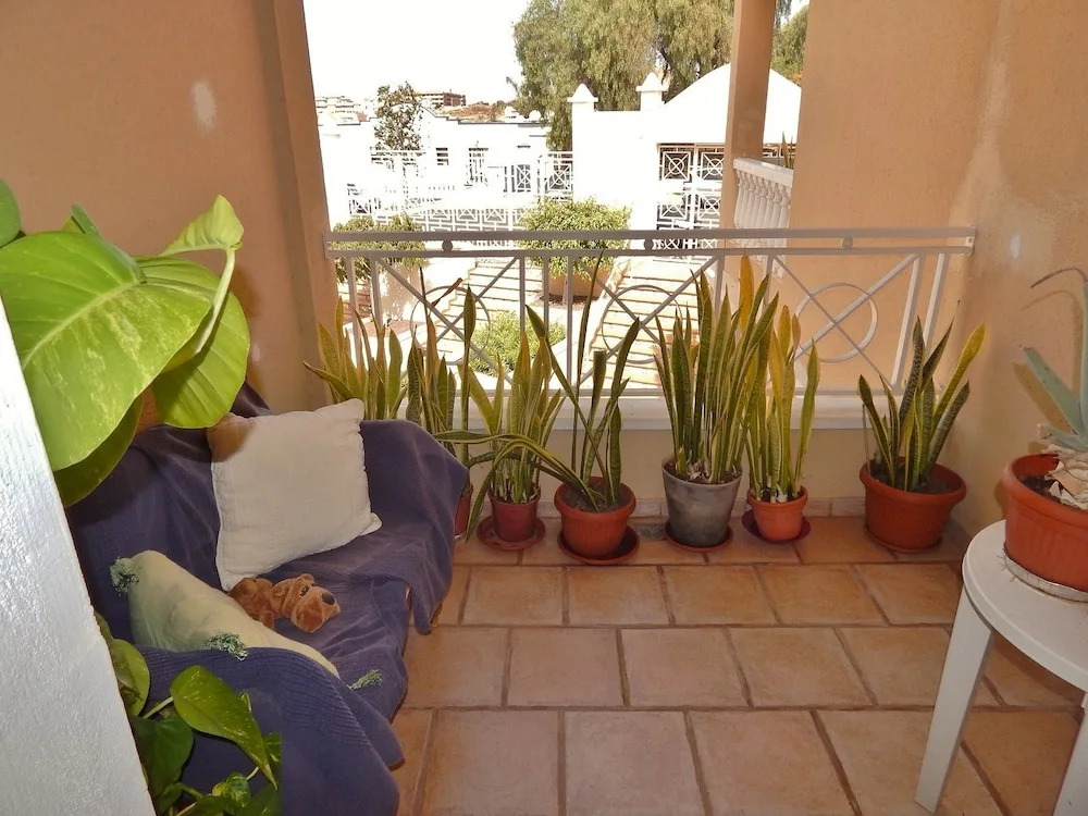 Relax El Duque