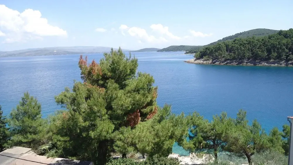 Pava - 15m From the sea - A1