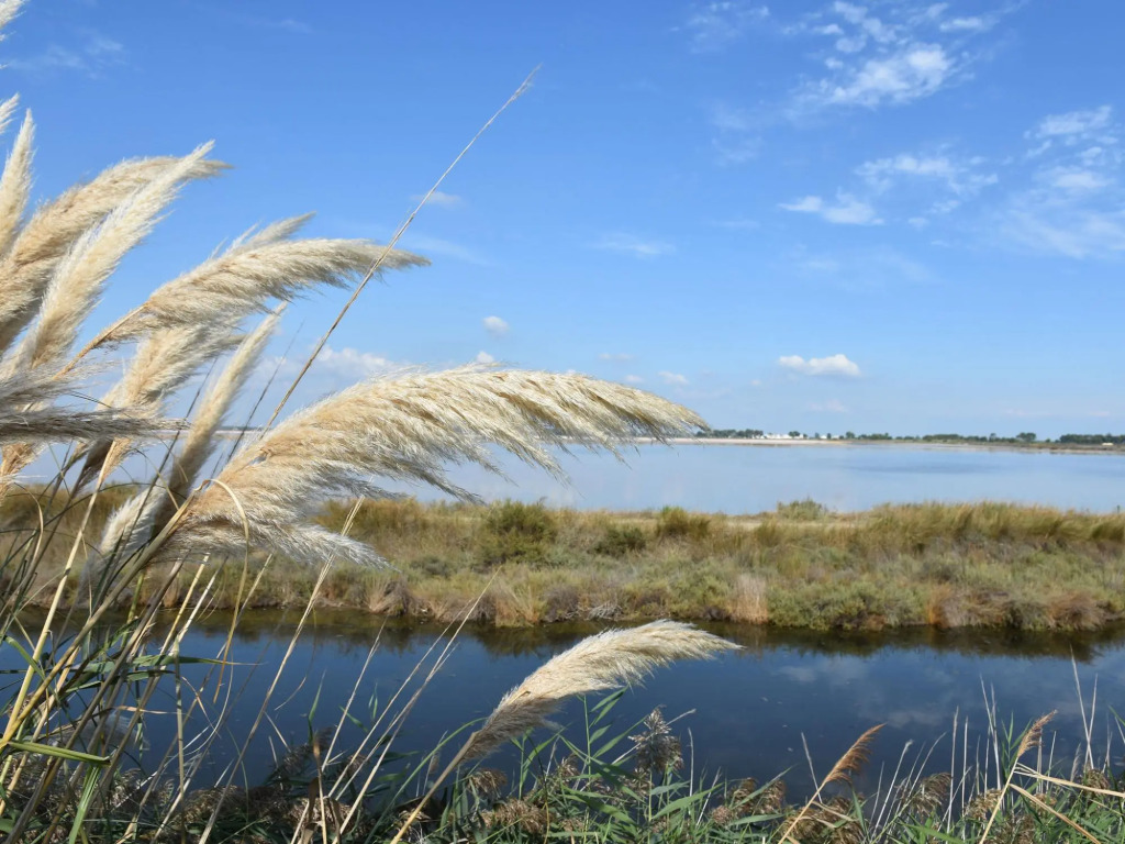 Luxurious Holiday Home with Private Pool in Port Camargue