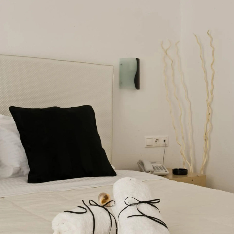 Zannis Hotel