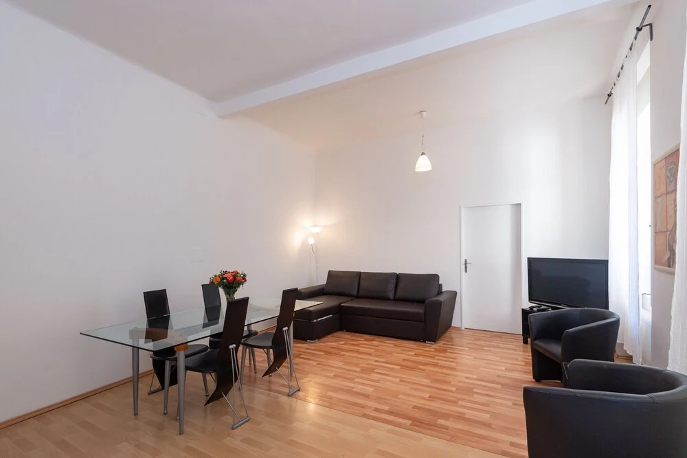Spacious Apartments in Heart of Prague