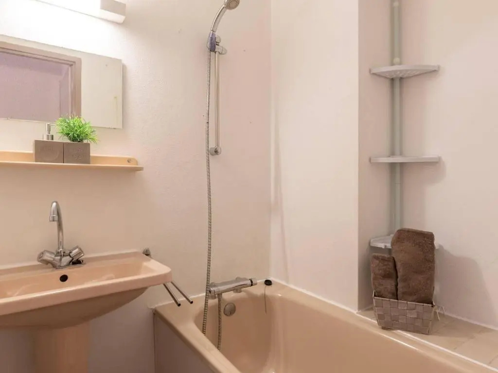 Appartement Saint-Lary-Soulan, 2 pièces, 4 personnes - FR-1-296-134