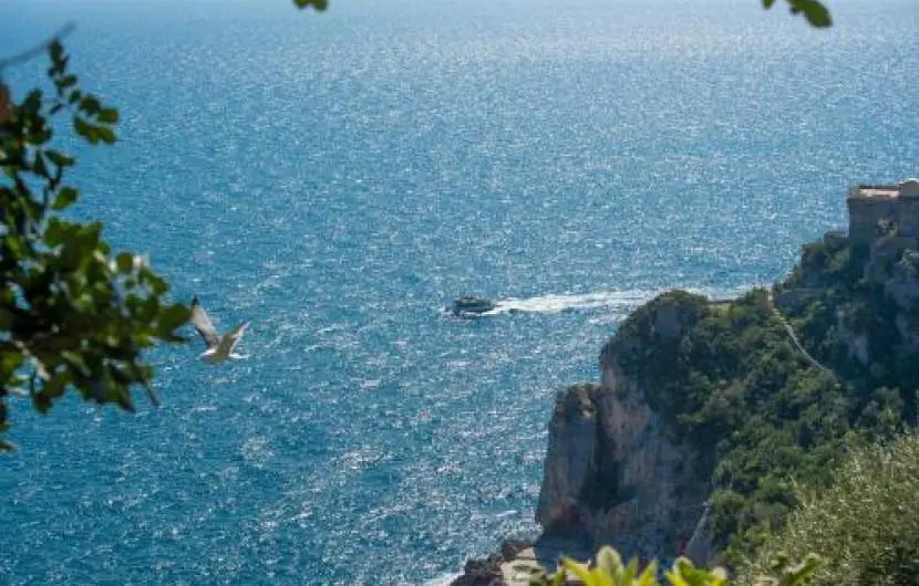 Flat 2 bedrooms 1 bathroom - Conca dei Marini
