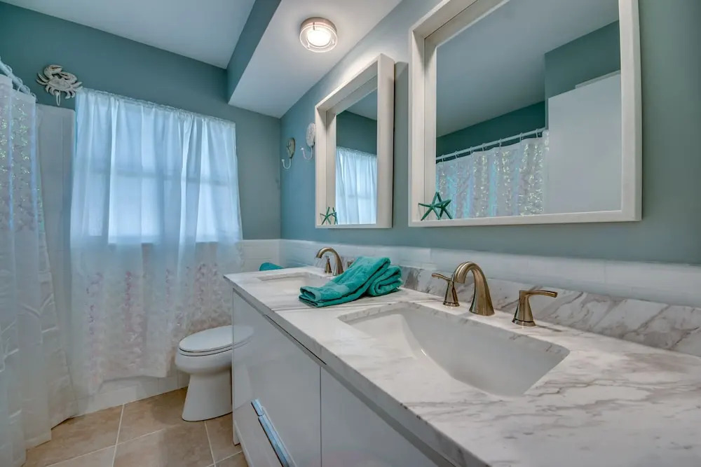 All About The Dolphins - Roelens Vacations