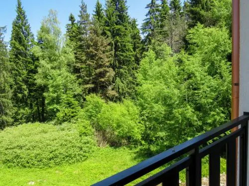 Borovets Gardens Apartments