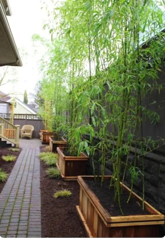 Studio in Montréal, With Furnished Terrace and Wifi