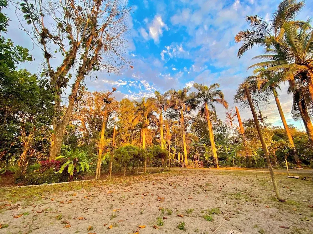 Puerto Quito Lodge - MonPar