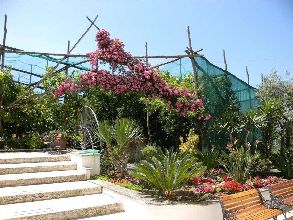Oasi Madre della Pace