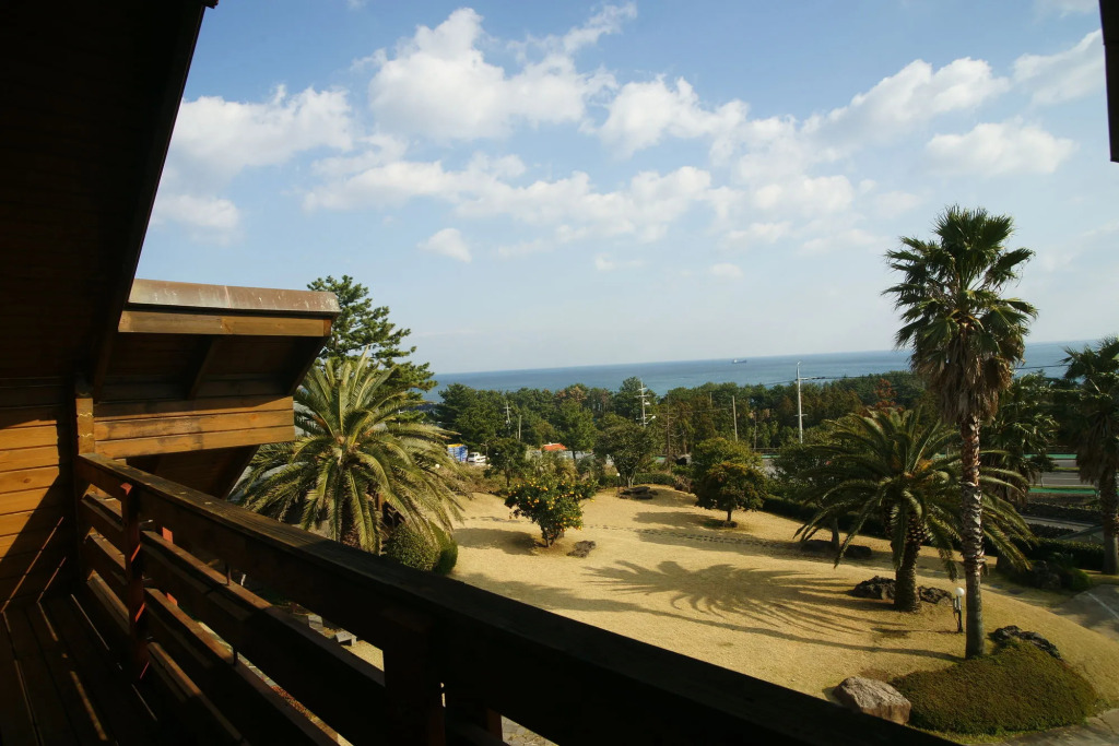 Sunny Day Jeju