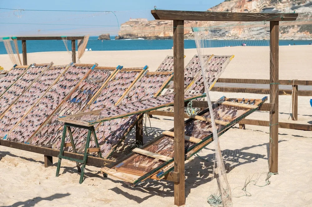 Amazing View Steps to Beach 4Beds Ac Self Check-In
