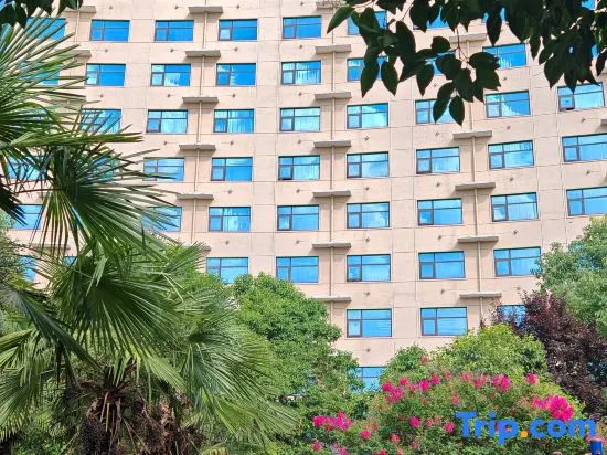 Jincheng Hotel