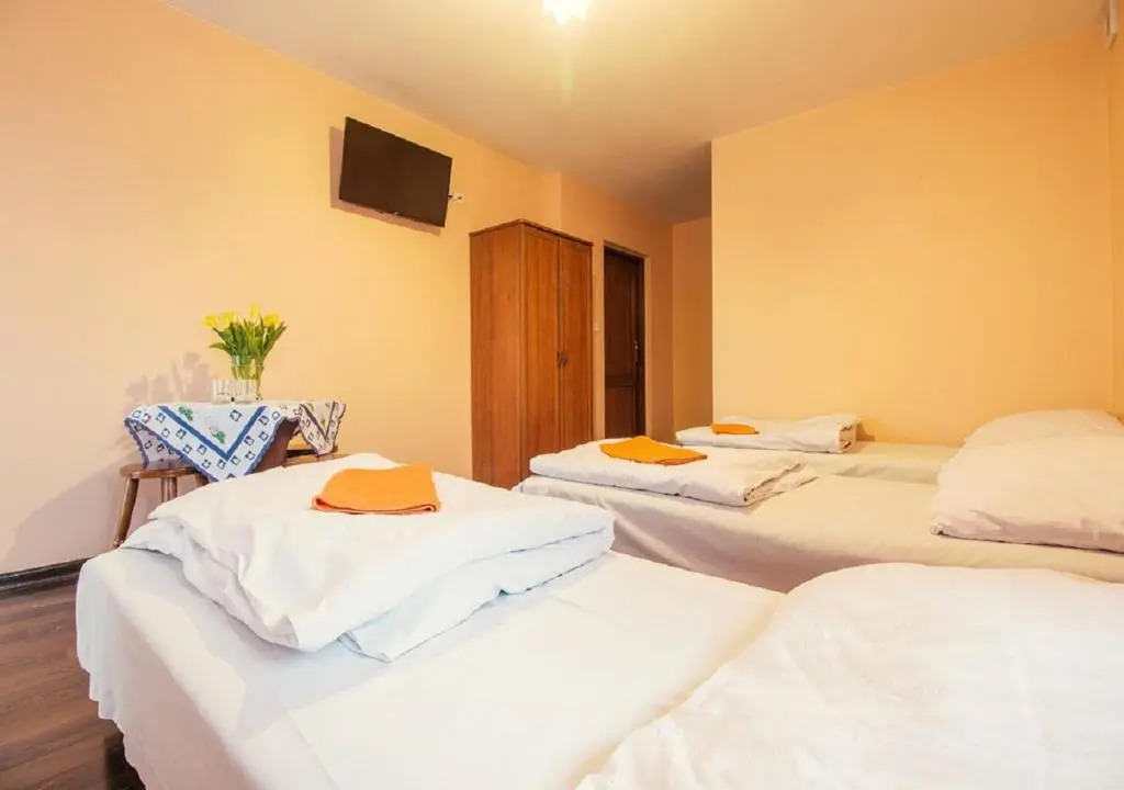 Apartamenty Willa Kamila Zakopane z Jacuzzi