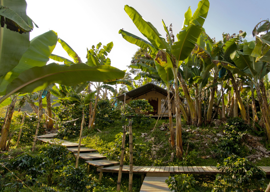 Glamping Jardín