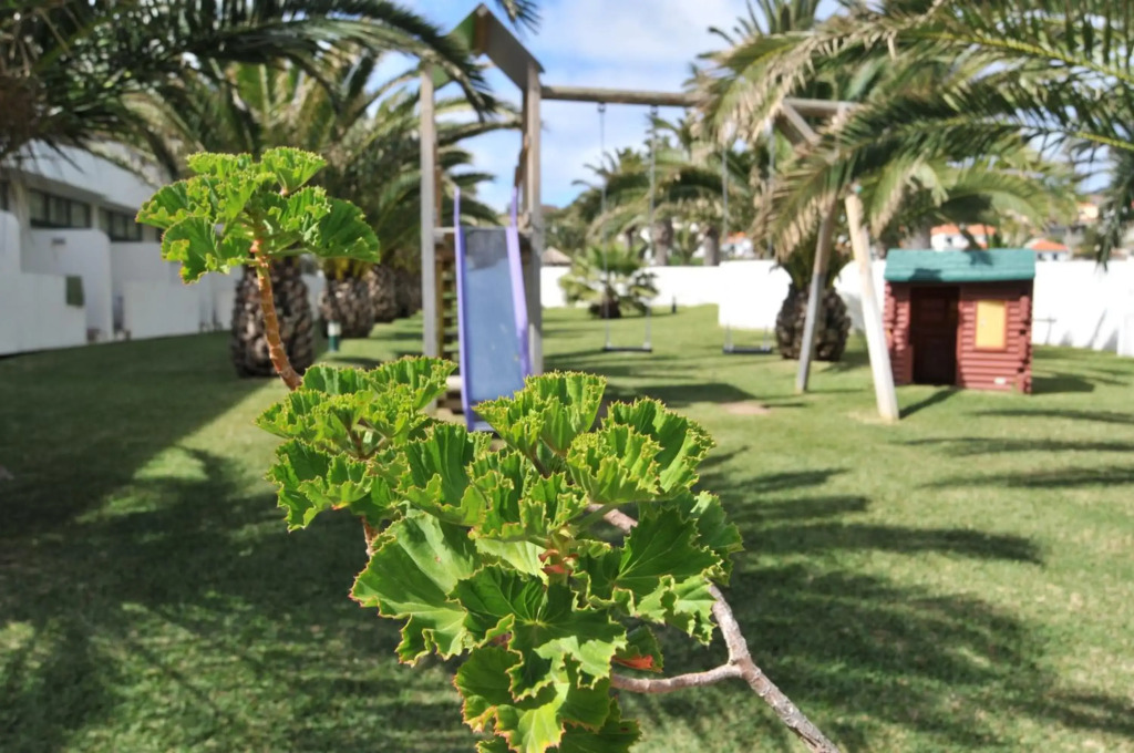 Hotel Torre Praia