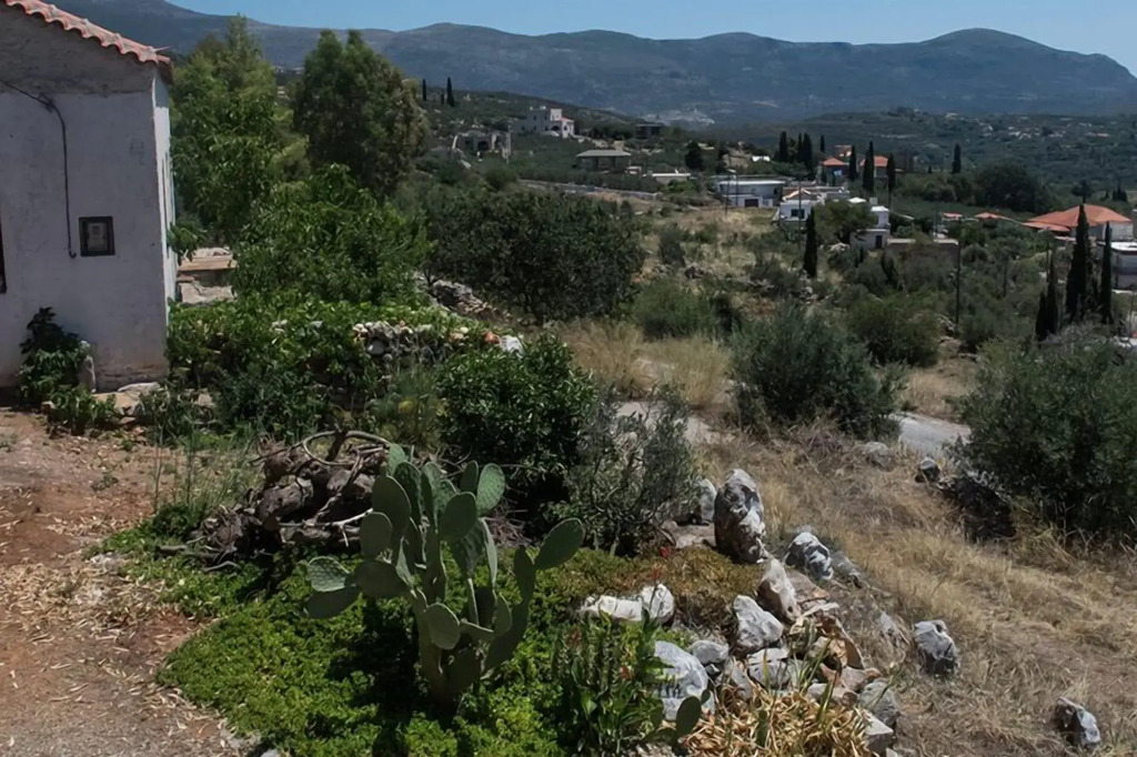 Petritis Guesthouse