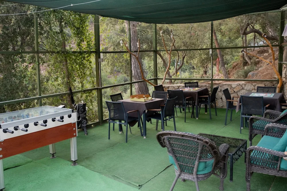 Tree Houses Hotel