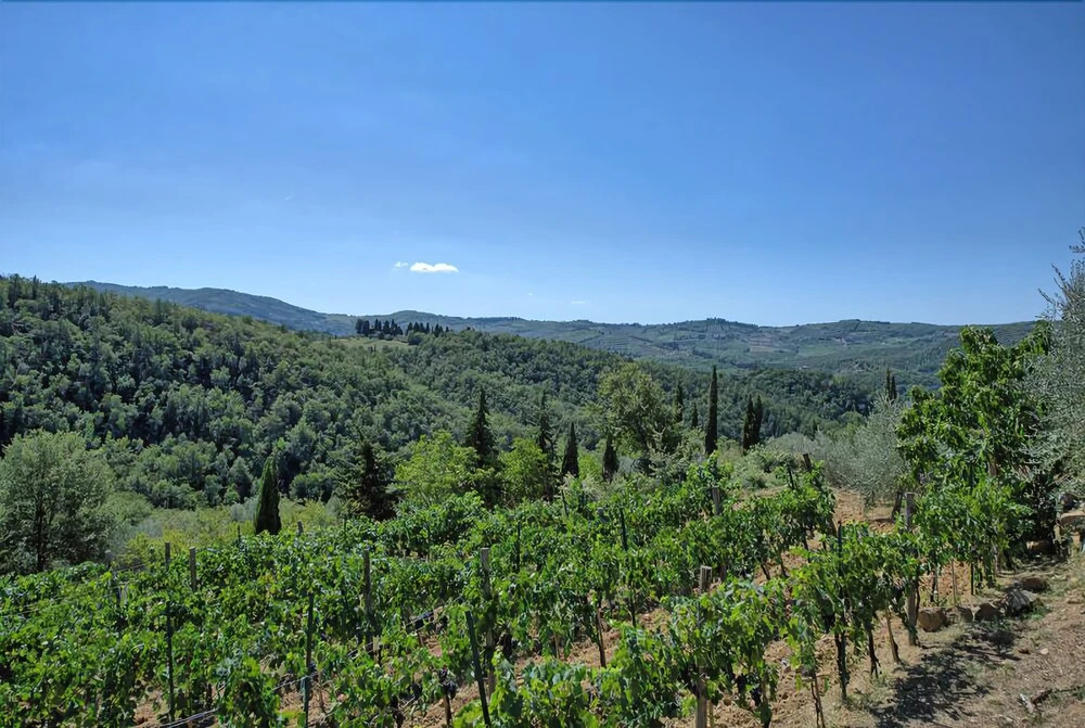 Bigiolo a Melazzano by PosarelliVillas