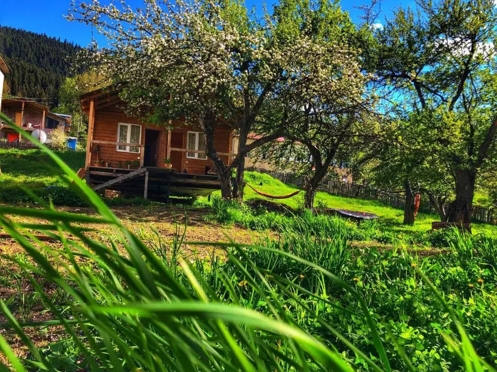 Deka Cottage