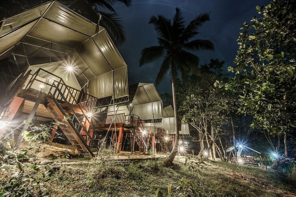 Sinharaja Rainforest Vibe