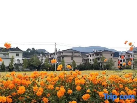 Xianju Yin Xin Stone House Homestay