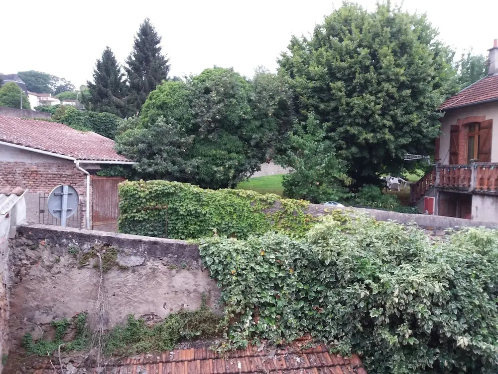 Les lierres