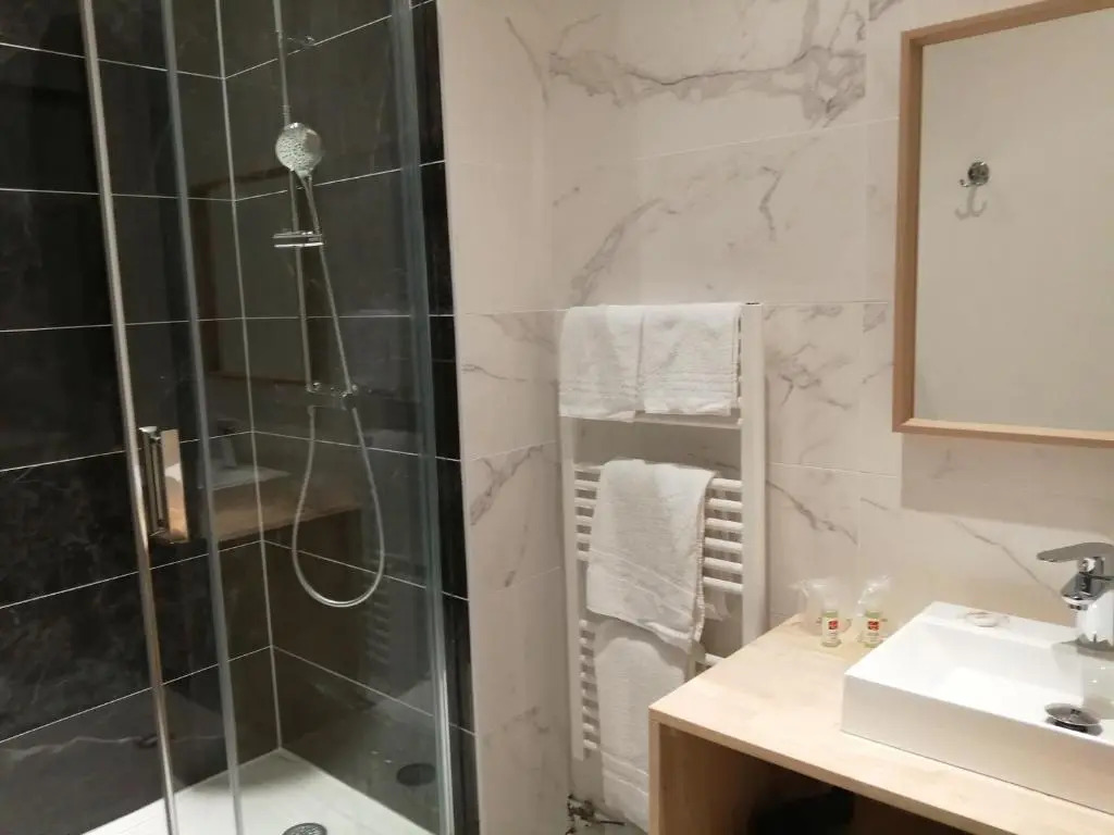 Hotel Du Cygne Tours