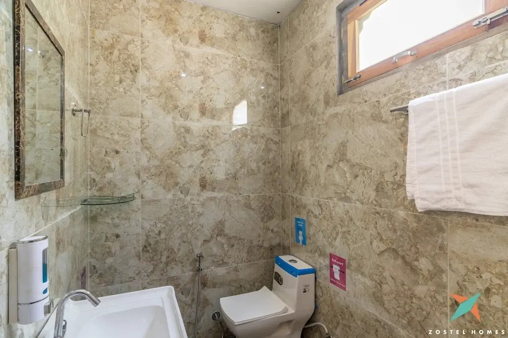 Zostel Homes Tirthan, Gushaini