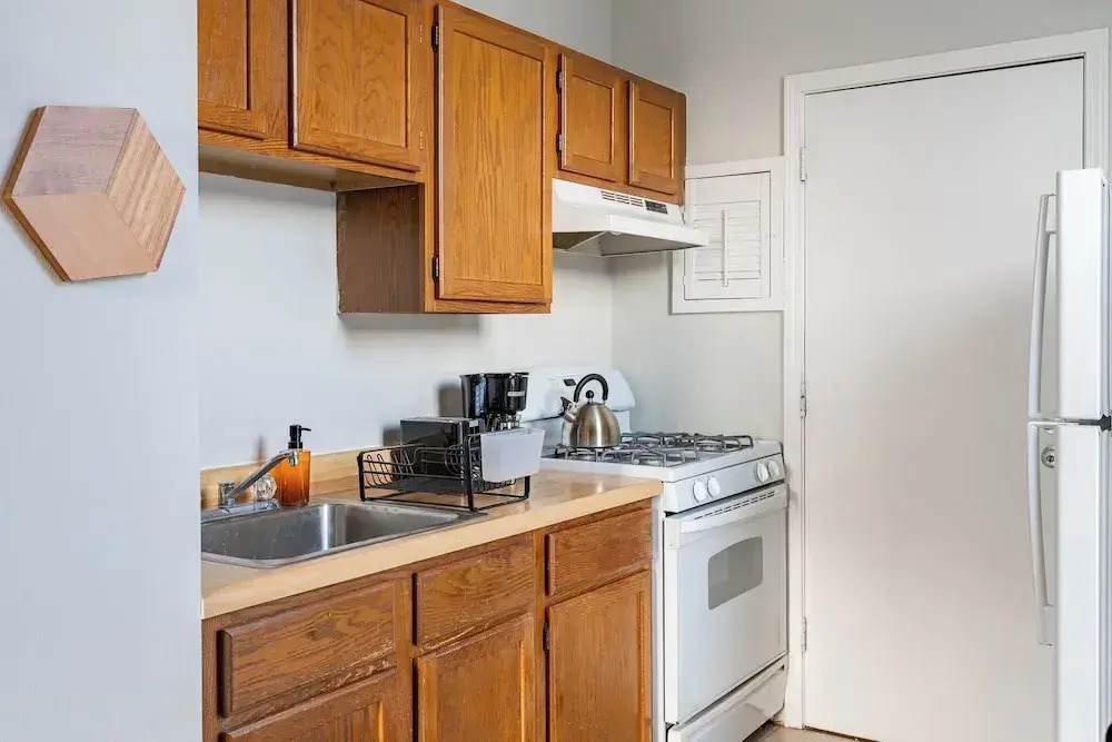 1BR Apt in Lincoln Park - Lincoln 3E