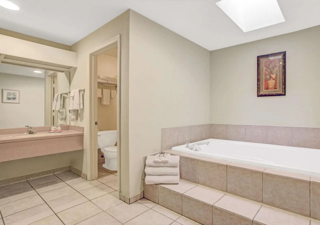 Hotel South Tampa & Suites