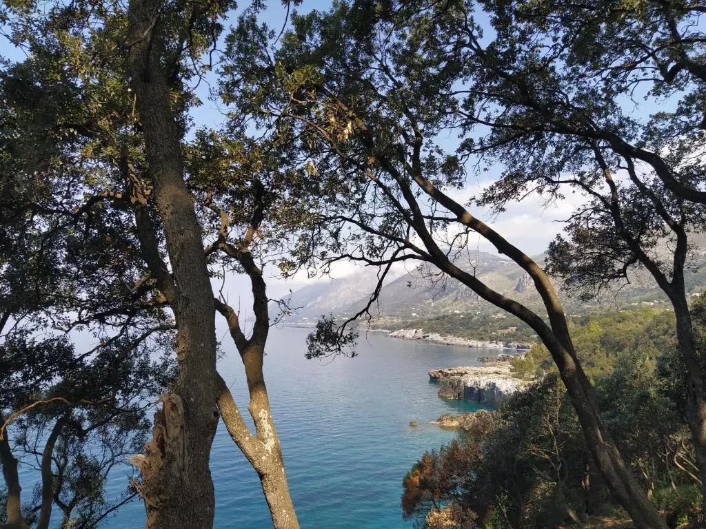 Judia Camere sul mare