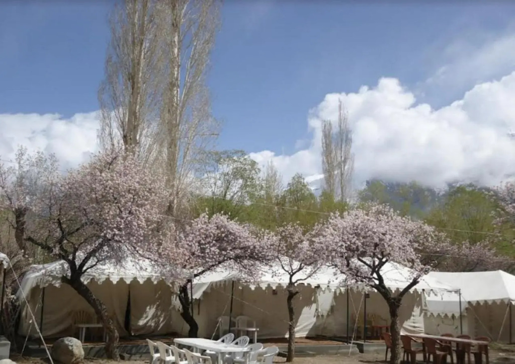 Royal Deluxe Camp