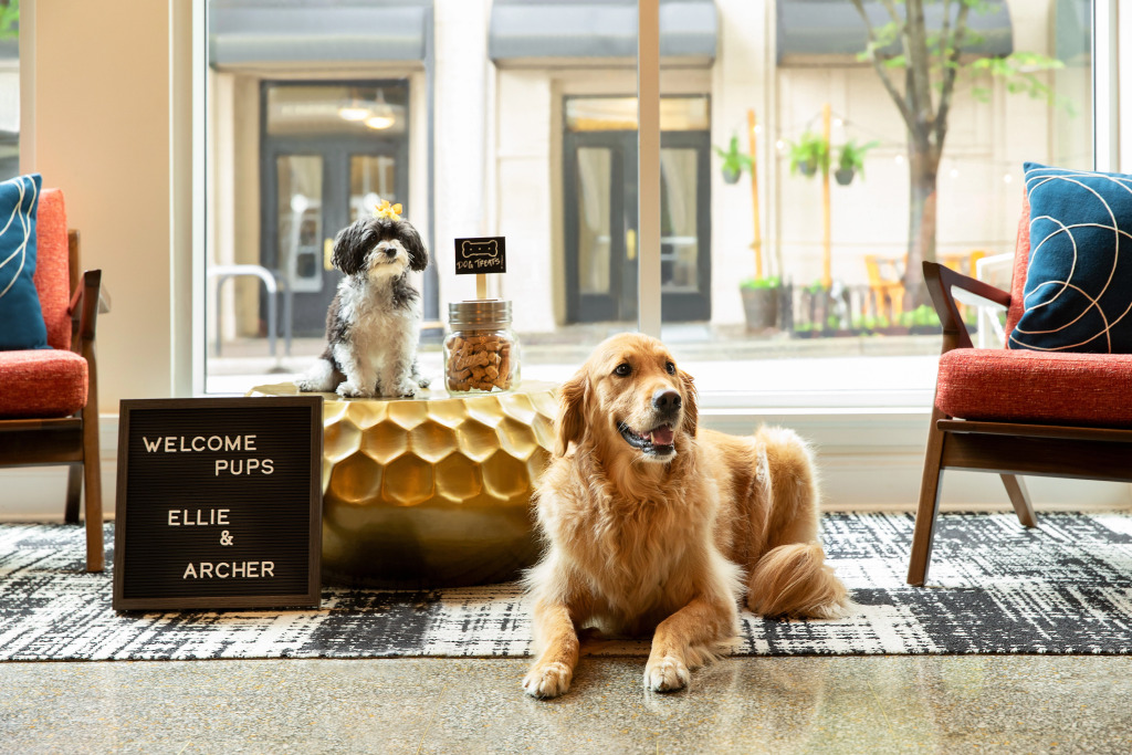 Hotel Indigo - Winston-Salem Downtown by IHG