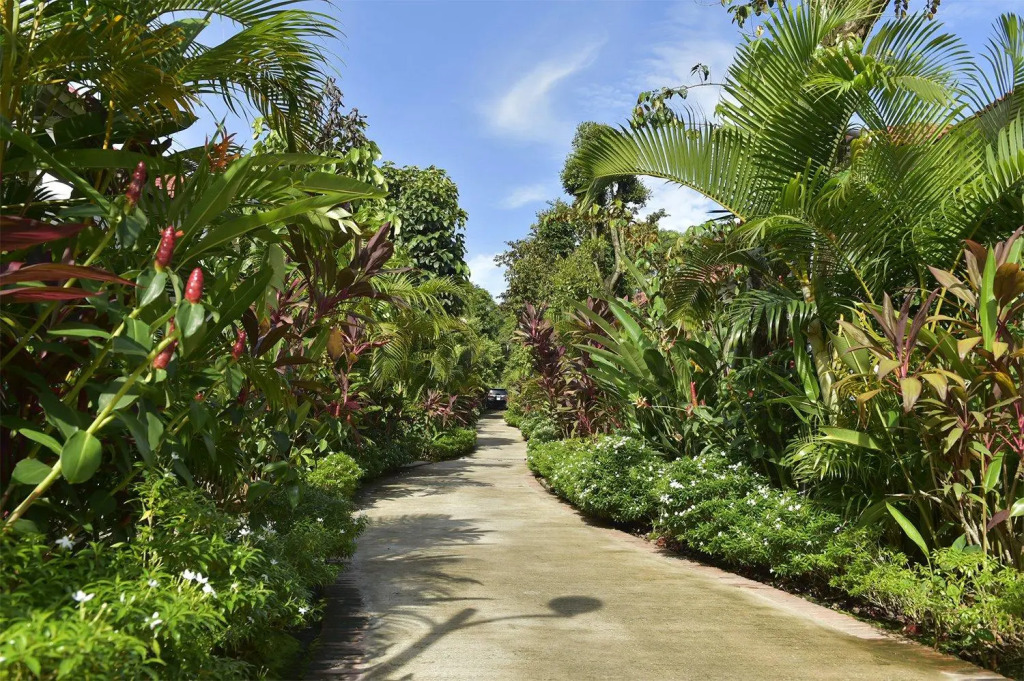 Rainforest Resort Phu Quoc