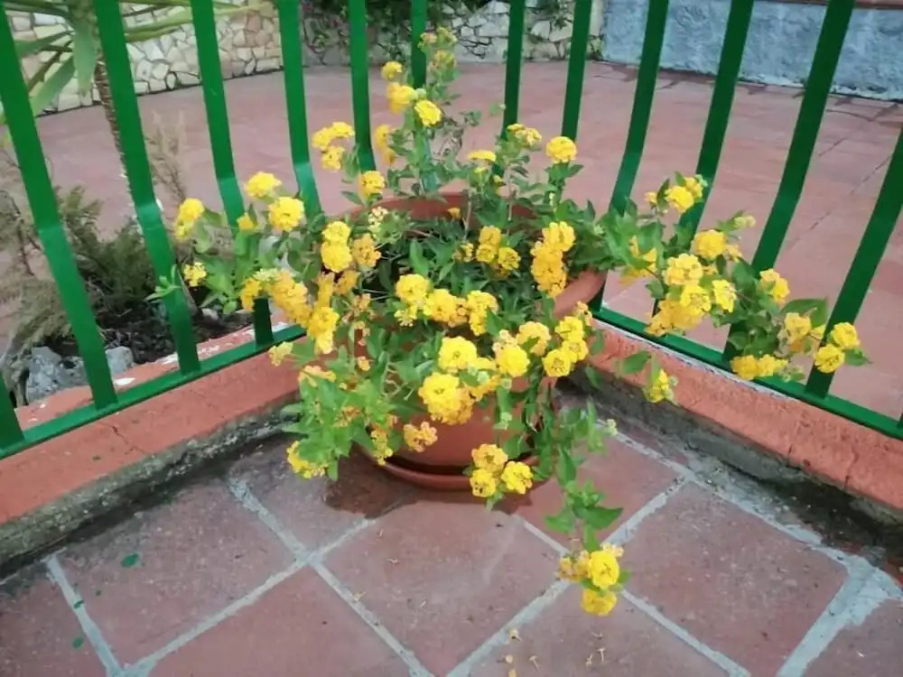 B&B Borgo Pileri