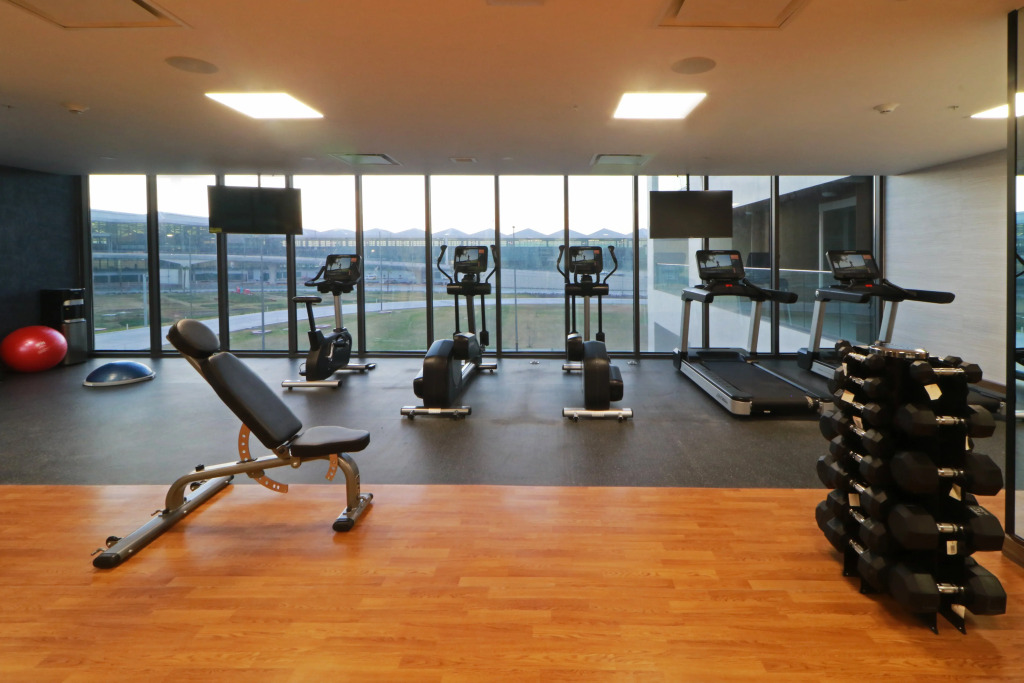 Holiday Inn Hotel and Suites Mexico Felipe Angeles Airport by IHG