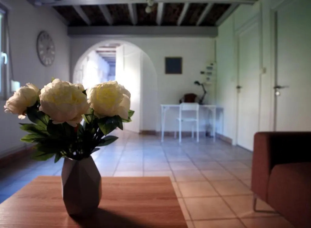 Appartement de charme proche CH Valenciennes