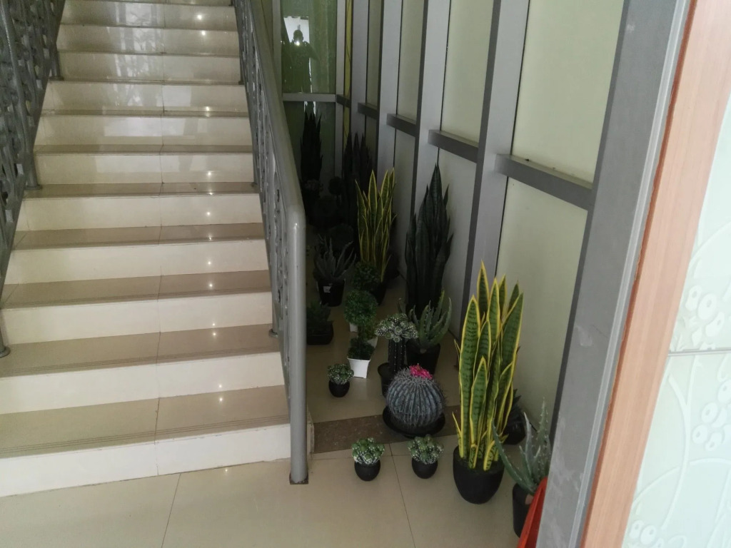 Rosa Valls Hotel