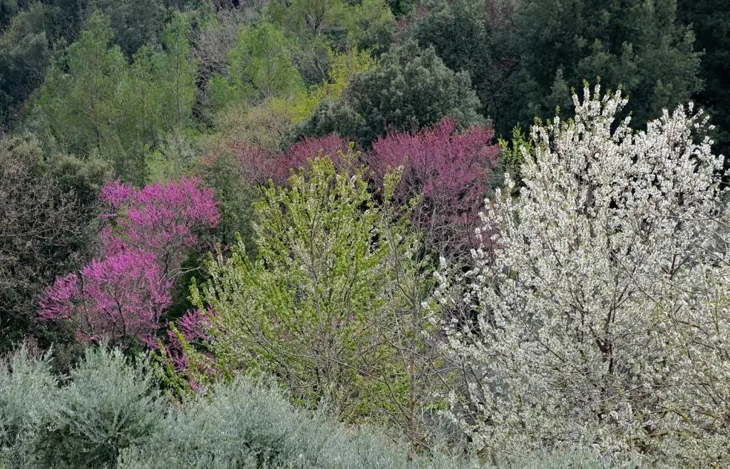 Agriturismo Il Casaletto