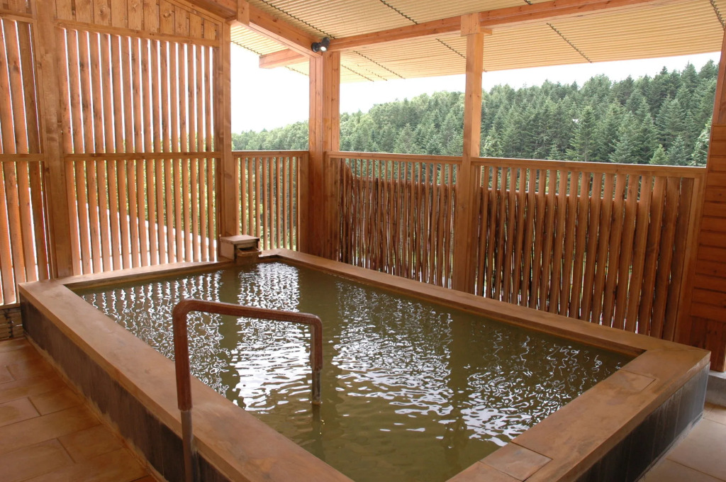 Hotel Niseko Alpen